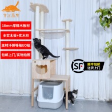 ������ľȫ��ľ����؈ɰ�虙�Ϸ�؈���ܸCһ�w�e���S������Qϵ��