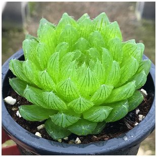 ˮ¶ײͶֲMֲԷNðl؛躬