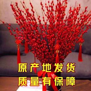 �y���������ܸɻ��滨�r֦�ͺ�ˮ��ֲ��tɫ��Ͱ�͏d�҃��b�ֱ�l