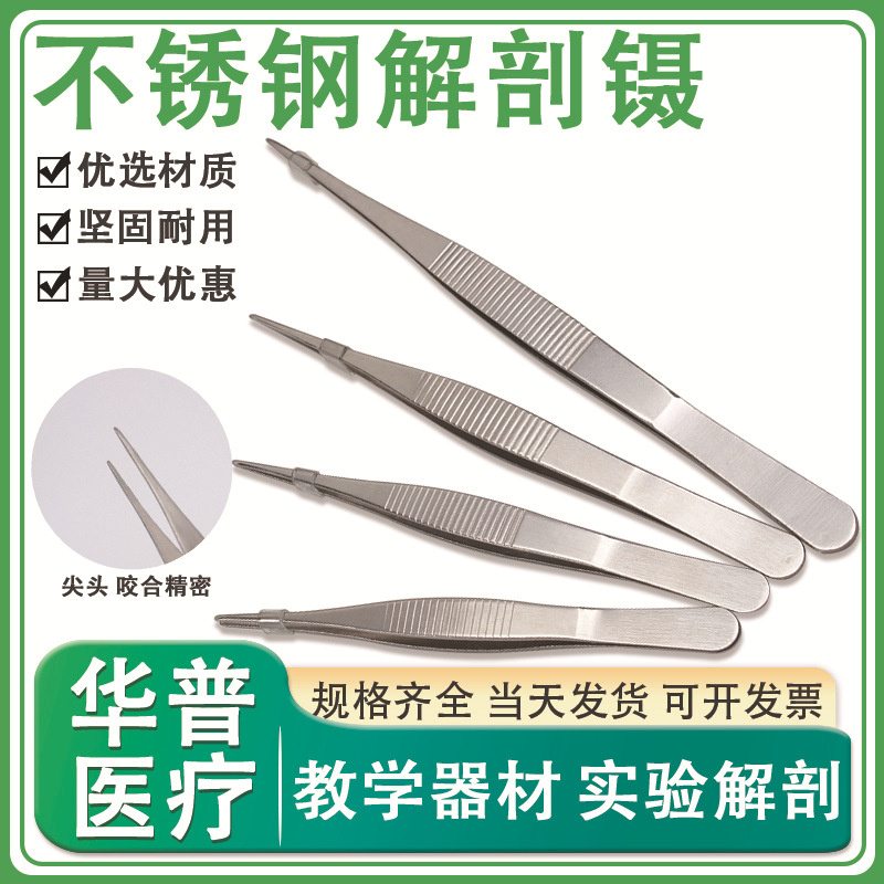 304不锈钢解剖镊加厚尖头镊实验室生物解剖教学工具带齿敷料工具