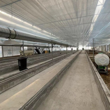 ˮBֳOCеיCM͏NƝ{Bˮ