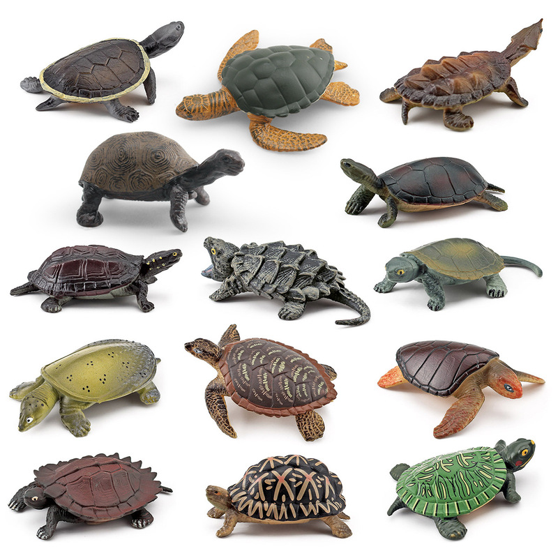 Cross-Border Simulation Amphibian Reptile Turtle Model Real Snapping Turtle Tortoise Simulated Water Turtle Chinese Turtle Ornament Toy