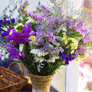 �W�t��������ҝM���Ǹɻ������r���滨�Ҿ��b[��������Ȼ�Q��