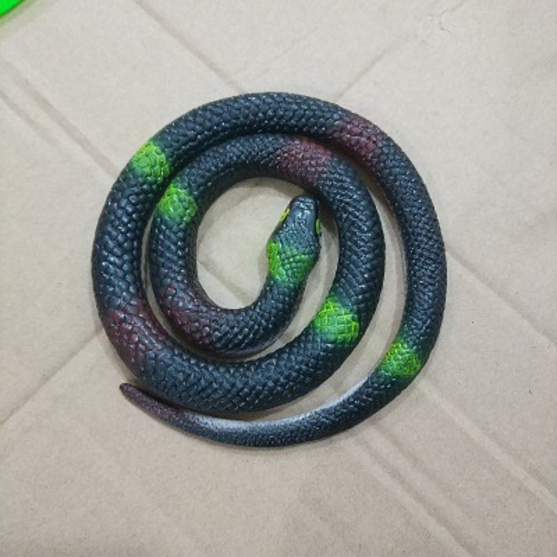 검은 둥근 머리 뱀