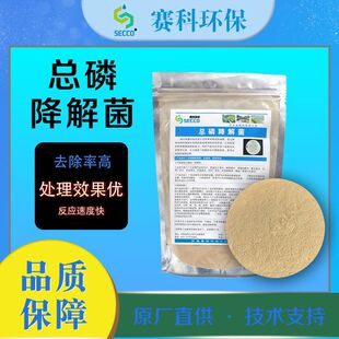 ��ˮ̎��������N���׽�����N�����������������⿂�׿��׽����