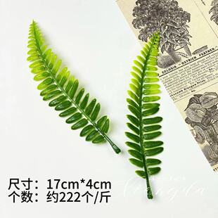 ����Gֲˮ��������ϻ��ݲ廨��֧�~��ϲ�ǺжY�в�ˮ������S��