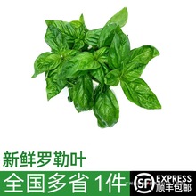 ���r�_���~100g ����ʳ�����_����������{���������u�߲�����