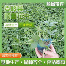 ���~ί��� �޸������o�¾G�������OӋ�N��Rȫ���l ������ί���