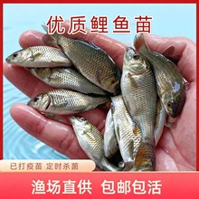 �����~���ȫ���~���~�������~����ݽz���~���w���ص�ˮ�Bֳʳ��