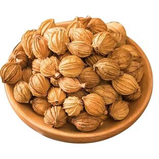 ������ɰ�� ��ɰ �u�ϟ������� �����{�����l���l