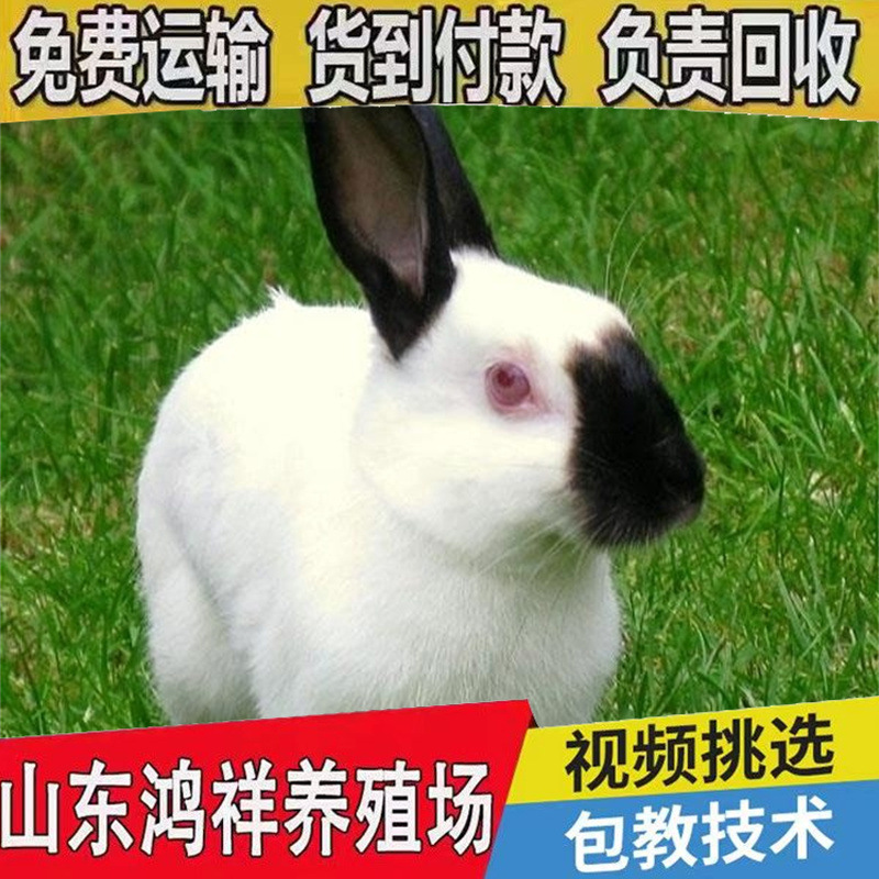 4db4dbb182c94f8ea86eb9138e1557