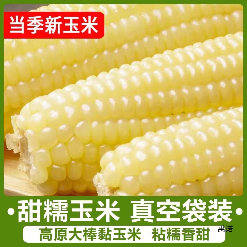 产品展示图