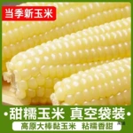 新鲜东北白糯玉米 甜糯粘玉米棒真空包装 新鲜粗粮代餐非即食