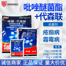 �������I��60%�����Ѿ�����ɭ���ٯ��財�S��˪ù���������rș