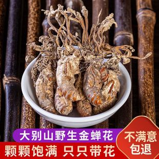 ���s��500g �x���ݾ�֪�˻���؛��󸻨���l