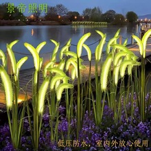 ̫��ܹ�β�Ͳݵز������l��W�t���^��ƺ�����@�����bՇ���