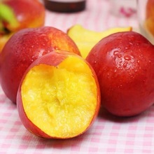 油桃新鮮水果黃心桃子水果3/5/10斤脆桃當季水果非水蜜桃毛桃廠家