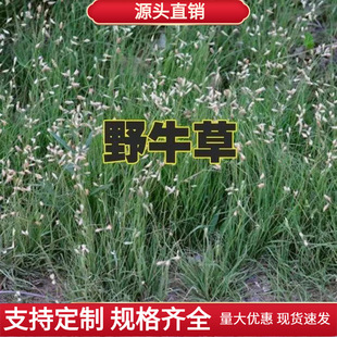 �S�����lҰţ�ݷN�Ӳ�ƺ�N�ӾG���o�;G�ͺ������B�ޏ͏;G����