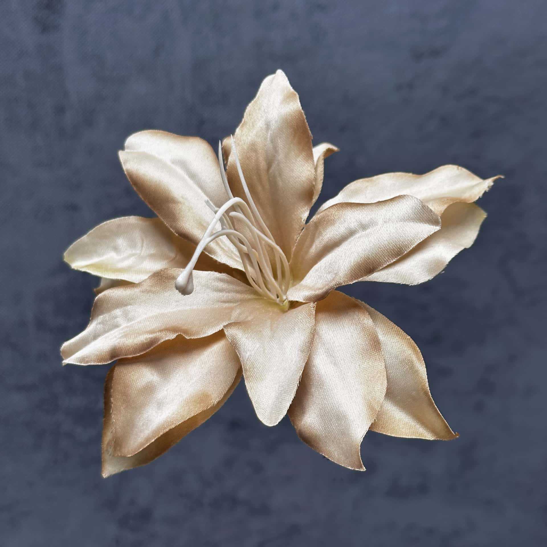 Cabeza de flor de lirio de seda de 13 cm, nuevo color café