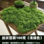 盆栽景观庭院布置草皮