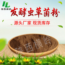 发酵虫草菌丝粉 含多糖/腺苷  CS-4蝙蝠蛾拟青霉菌丝体粉
