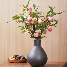 ˮ֦SӼҾƷb֦ˮ֦ٻƵ޻ˇ[