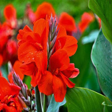 �t�����˽�ˮ������ͥԺ�Nֲ�҃����ԃ���ˮ�|����ă��t�����˽�