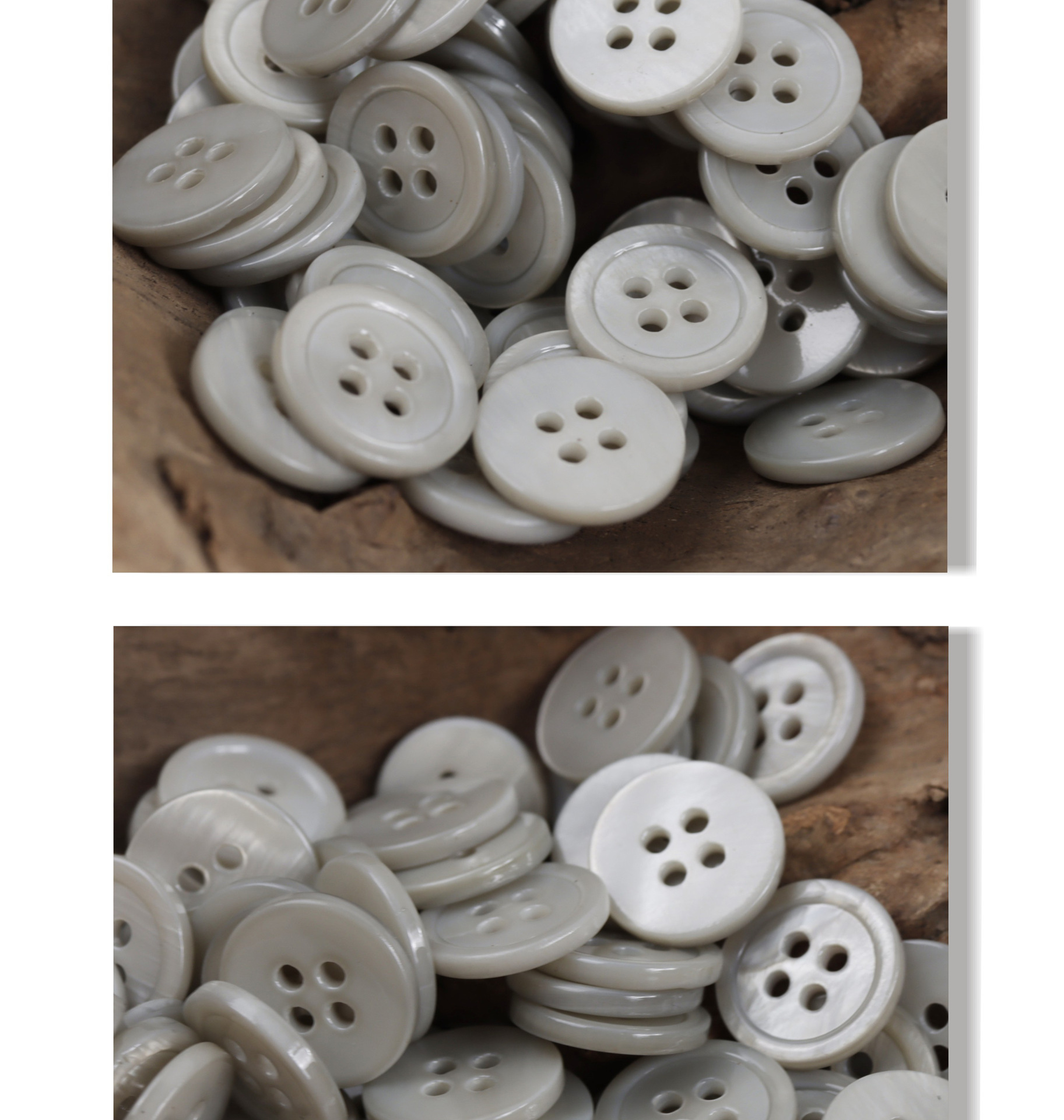 贝壳_08.jpg