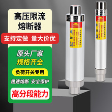 高压限流熔断器支持定制XRNT-12/80A125a200a成套箱变保险管10KV