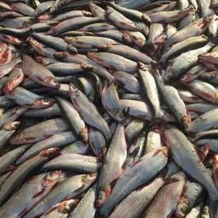 ���r���~�N���~���r�����~��Ƶ�ױ��~ʳ�����l���Ʒ�����~�^