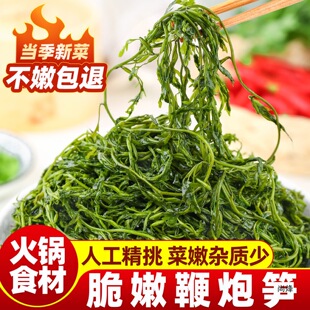 ���ڹS���r�����򗫲˻�偛���˺��ݻ��ڲ��L�۲˘s���}�n�Rβ��