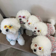 Pet glasses, cute cat sunglasses, pet-use UV-protective sun glasses, trendy accessories, plastic toy glasses