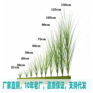 �����JȔ�݆�֧���l��c�쾰��ȸ�ݼٲ��Ĕz����