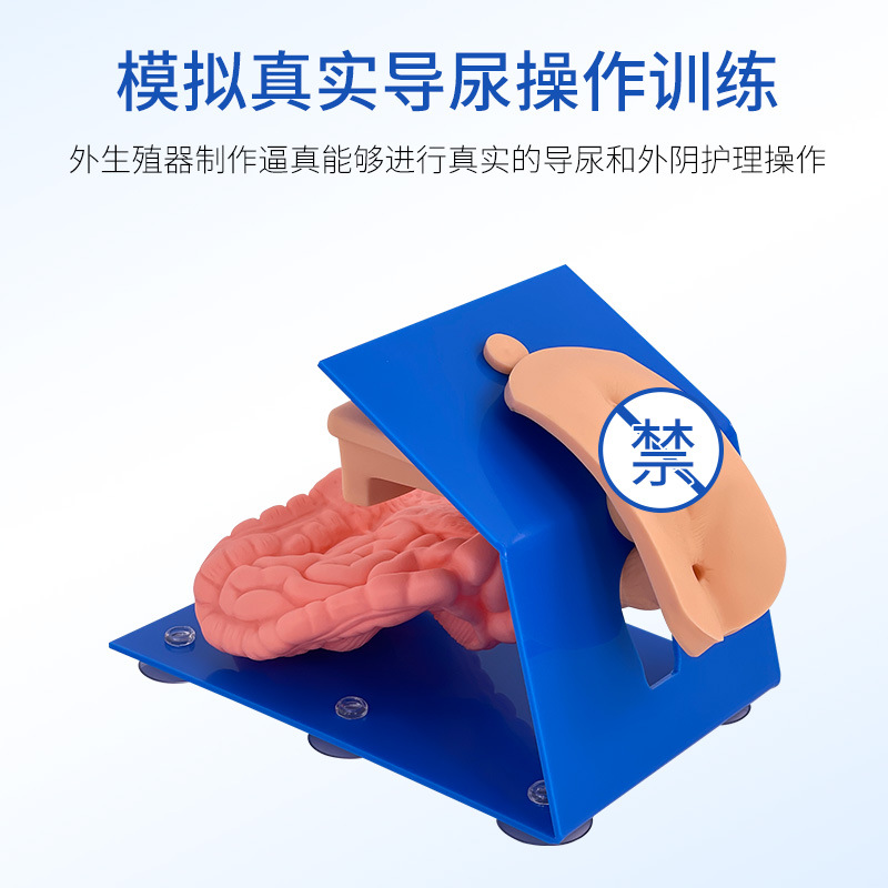 װʽŮԵģŮֳҽѧѧѵģ