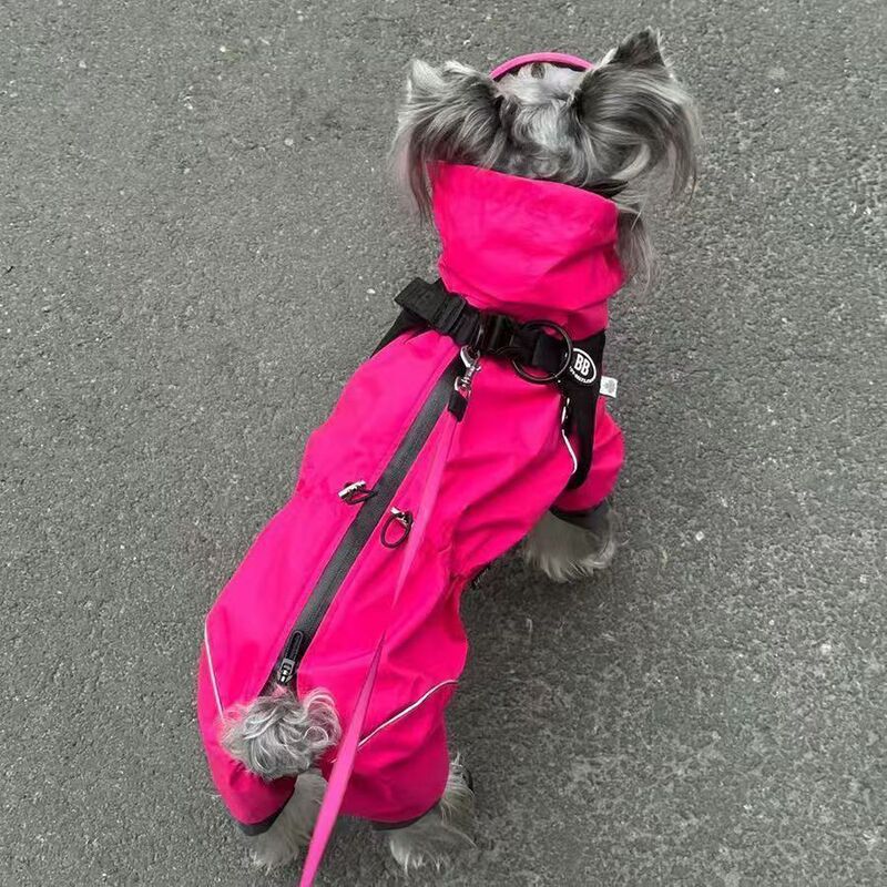 Outdoor Cat and Dog Autumn Pet Waterproof Jacket for Teddy, Bichon, Corgi, Schnauzer, Dog Clothes for Spring and Autumn Outdoor Cat and Dog Autumn Pet Waterproof Jacket for Teddy, Bichon, Corgi, Schnauzer, Dog Clothes for Spring and Autumn