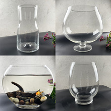 透明圆形玻璃金鱼缸微景观水培花瓶桌面龙蛋生态鱼缸花瓶酒杯花盆