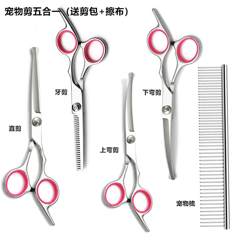 스트레이트 가위 + 치과용 가위 + 상부 곡선 가위 + 하부 곡선 가위 + 애완동물 빗 + 가위 가방