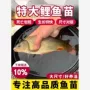 四川特大养殖淡水鲤鱼苗
