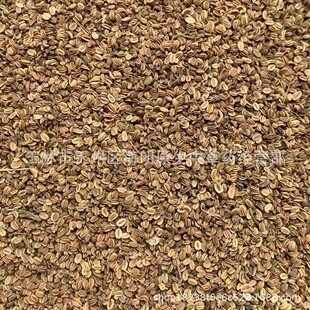 ��ș��500g�ߴ����ߴ�������������Ʒ�o���؛ɢ�b���l�a��ֱ��