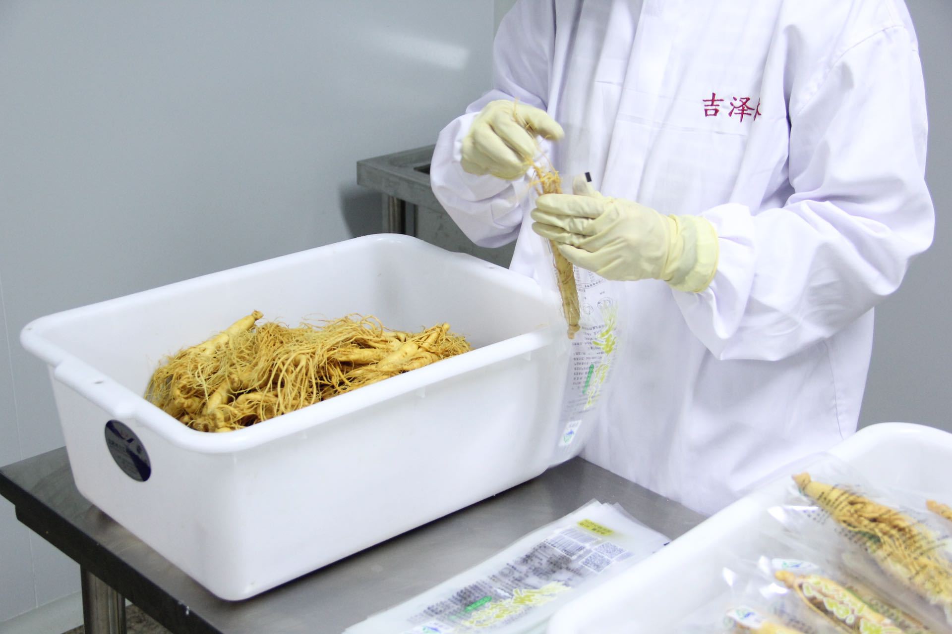 Changbai Mountain Fresh Ginseng Root Preserved for Wine and Cooking key features