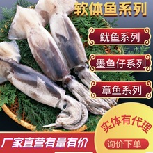 成都松泉食品經營部舟山東海魷魚魷魚須魷魚頭系列產品商用家用可