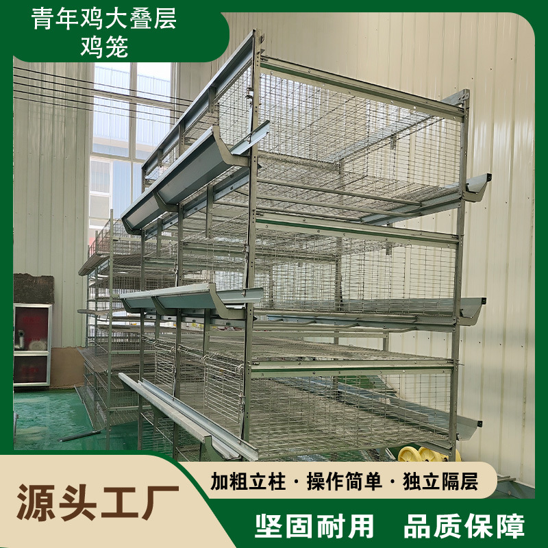 厂家生产全自动大层叠蛋鸡笼小自动化养殖设备机械捡清粪机
