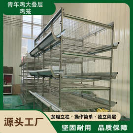 厂家生产全自动大层叠蛋鸡笼小自动化养殖设备搅拌机机械捡清粪机