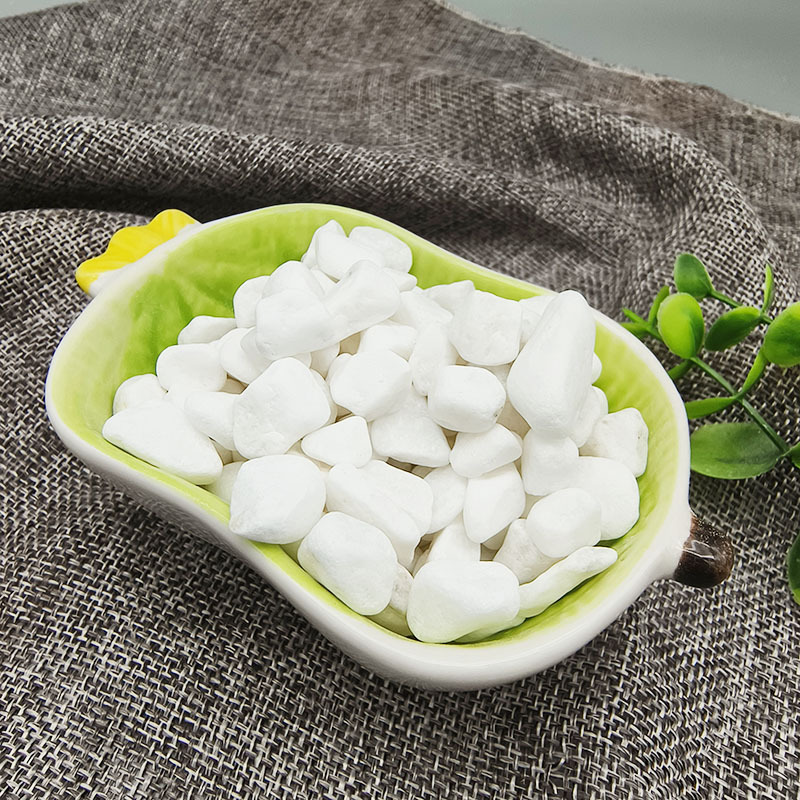 微信图片_202303081055091