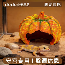 ����������쾰����،m���挙���߽��ܶ�Ѩ���ɳĮ��������