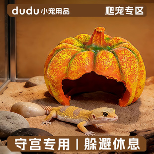 ����������쾰����،m���挙���߽��ܶ�Ѩ���ɳĮ��������