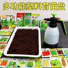 �๦������Pѿ��Pѿ�������P�Nֲ��ѿ����o������ˮ��ѿ����