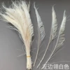 30-35cm left feather white