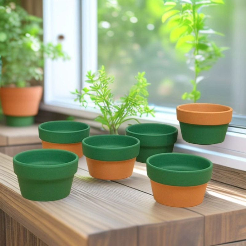 马卡龙彩色矮盆桌面式花盆植物组合多肉拼盘花盆