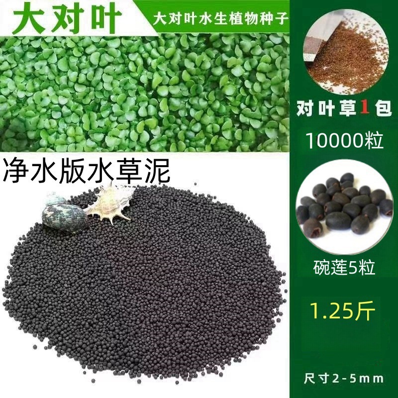 [핫세일] 워터그라스머드 0.63kg - 큰잎무료 10,000개 + 그릇연꽃 5개